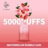 ELF BAR BC5000- WATERMELON BUBBLE GUM (5000 Puffs) - 5%(50mg) - Disposable Vape ( Rechargeable type-C )