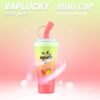 VAPLUCKY MINI CUP 8000 PUFFS DISPOSABLE VAPE - MANGO WATERMELON - 5%Nic ( Rechargeable type-C )