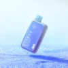ELF BAR BC 10000 Puffs- BLUE RASPBERRY – 2% Nic – Type C Rechargeable