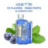 IGET FLARE B10000 DISPOSABLE VAPE 10K PUFFS - BLUEBERRY MINT (5% Nic) - Type C Rechargeable