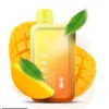 ELF BAR RAYA D1 13k Puffs- DOUBLE MANGO – 5% Nic – Type C Rechargeable