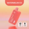 ELF BAR RAYA D1 10k Puffs - WATERMELON ICE – 3% Nic – Type C Rechargeable