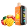 ELF BAR RAYA D3 25K PUFFS - MANGO – 5% Nic – Type C Rechargeable