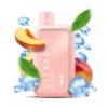 ELF BAR BC 10000 Puffs - PEACH – 2% Nic – Type C Rechargeable