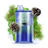 ELF BAR BC20000 - FOREST MINT – 5% Nic – Type C Rechargeable