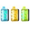 VOZOL RAVE Disposable Vapes 40K Puffs – 5% nic – Type C Rechargeable - 3 Pcs Combo Offer